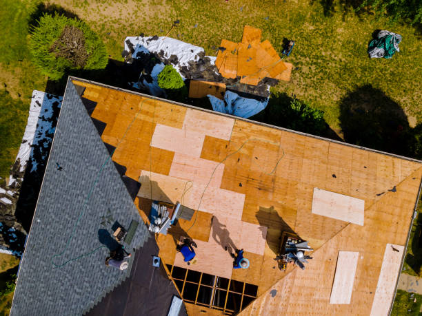 Best Roof Gutter Cleaning  in Marshall, MO