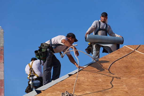 Best Roof Gutter Cleaning  in Marshall, MO